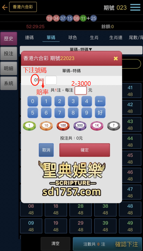 在台灣下注六合彩獨支都是在地下投注的，在1-49個號碼中只能選1支號碼下注，獨支特碼的賠率高達48倍。